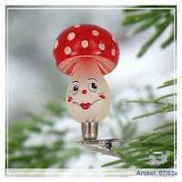 Mushroom/ Fly Agaric with Face