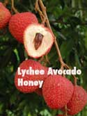 1 lb. Avocado Lychee Honey