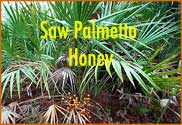 1 lb. Saw Palmetto Honey